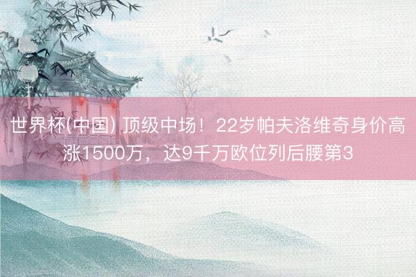 世界杯(中国) 顶级中场!22岁帕夫洛维奇身价高涨1500万,达9千万欧位列后腰第3