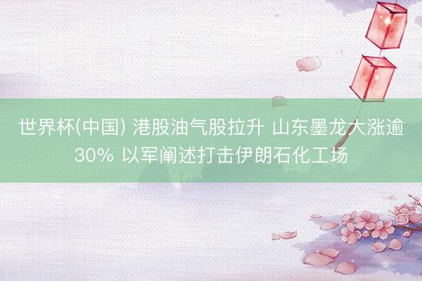 世界杯(中国) 港股油气股拉升 山东墨龙大涨逾30% 以军阐述打击伊朗石化工场