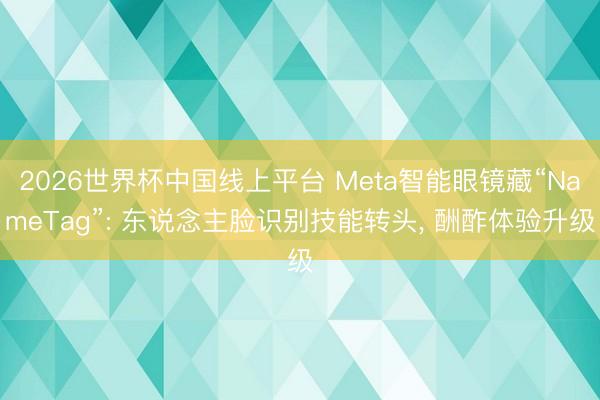 2026世界杯中国线上平台 Meta智能眼镜藏“NameTag”: 东说念主脸识别技能转头， 酬酢体验升级