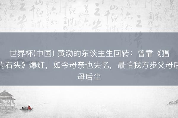 世界杯(中国) 黄渤的东谈主生回转：曾靠《猖獗的石头》爆红，如今母亲也失忆，最怕我方步父母后尘
