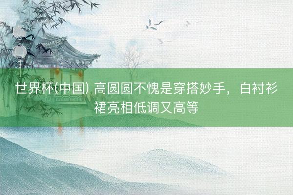 世界杯(中国) 高圆圆不愧是穿搭妙手,白衬衫裙亮相低调又高等
