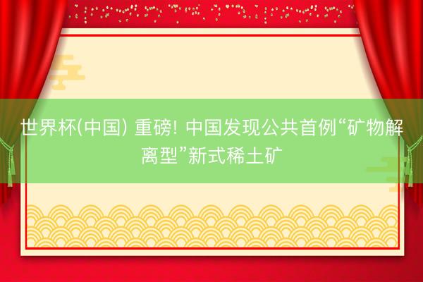 世界杯(中国) 重磅! 中国发现公共首例“矿物解离型”新式稀土矿