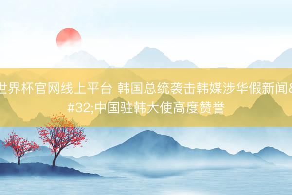世界杯官网线上平台 韩国总统袭击韩媒涉华假新闻 中国驻韩大使高度赞誉