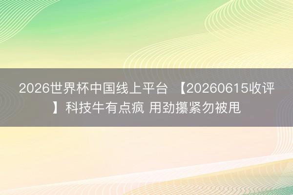 2026世界杯中国线上平台 【20260615收评】科技牛有点疯 用劲攥紧勿被甩