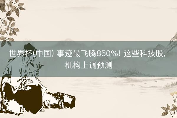 世界杯(中国) 事迹最飞腾850%! 这些科技股， 机构上调预测