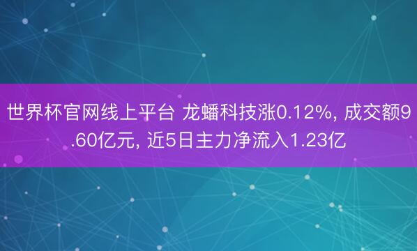 世界杯官网线上平台 龙蟠科技涨0.12%， 成交额9.60亿元， 近5日主力净流入1.23亿