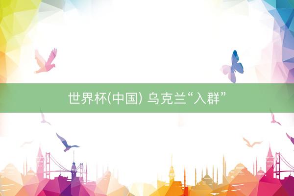 世界杯(中国) 乌克兰“入群”