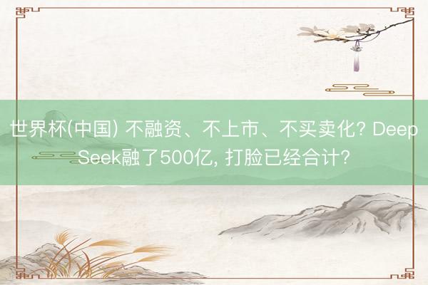 世界杯(中国) 不融资、不上市、不买卖化? DeepSeek融了500亿， 打脸已经合计?