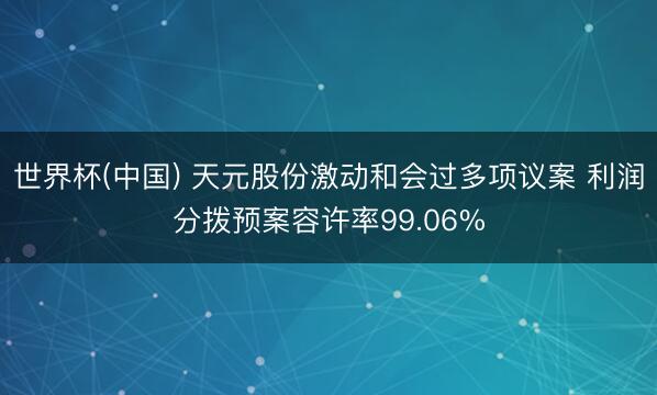 世界杯(中国) 天元股份激动和会过多项议案 利润分拨预案容许率99.06%